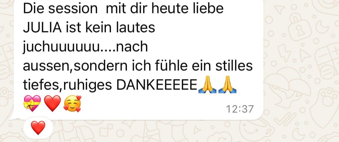 Erfahrungsberichte Jules Fruitcake