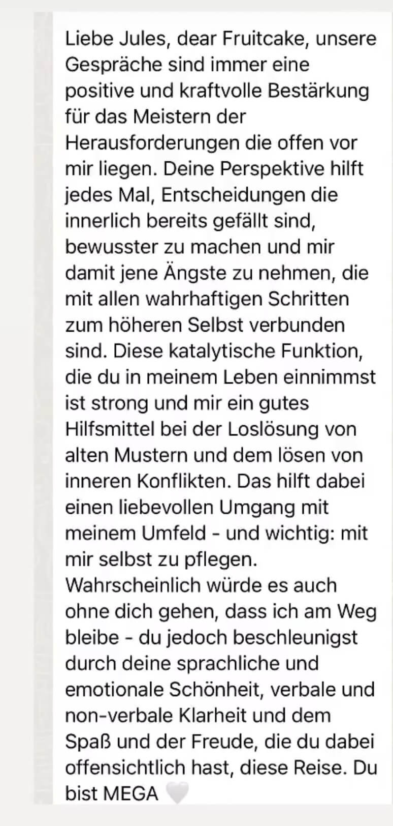 Erfahrungsberichte Jules Fruitcake