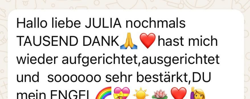 Erfahrungsberichte Jules Fruitcake